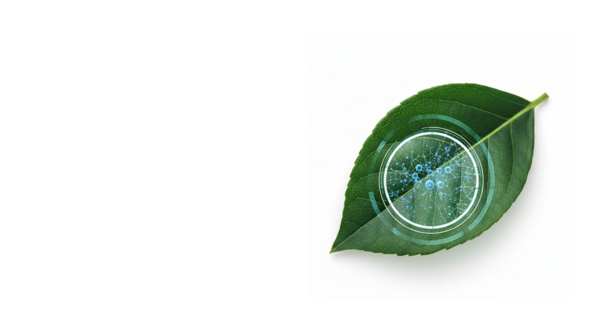 Tecnología Agrícola Avanzada